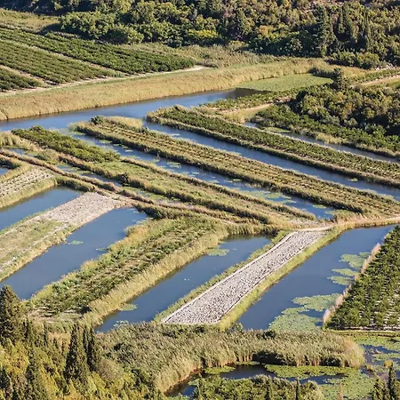 Stunning In Rogotin-ploce With Wifi