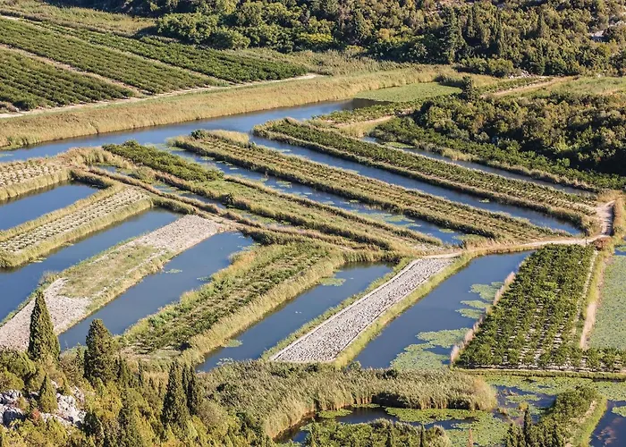 Stunning In Rogotin-ploce With Wifi